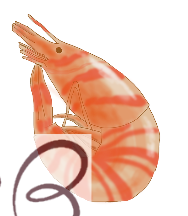 エビ